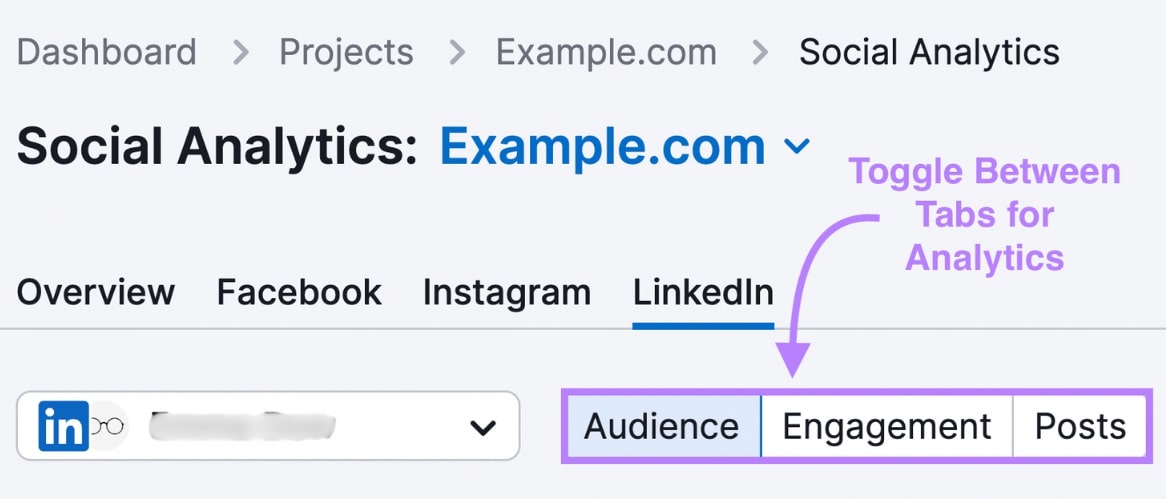 Social Analytics tool by Semrush with example.com project and audience, engagement, and posts tabs highlighted
