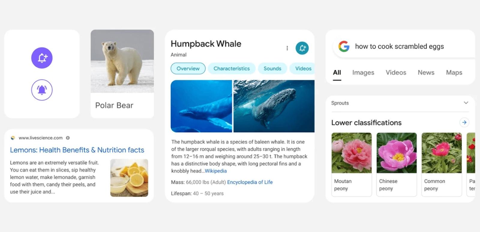 Google’s 2021 Mobile SERP redesign